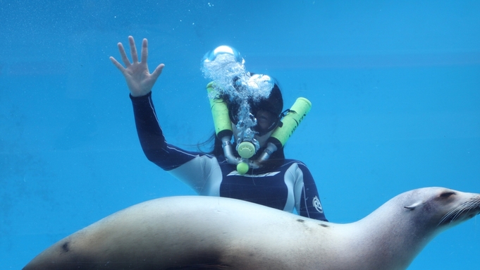 【下田海中水族館入場券付】イルカと遊べる人気の施設！レストラン食／露天風呂付客室